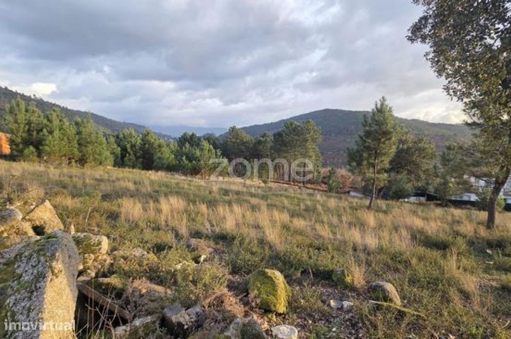 Dois Terrenos Rústicos com 2,6 Ha