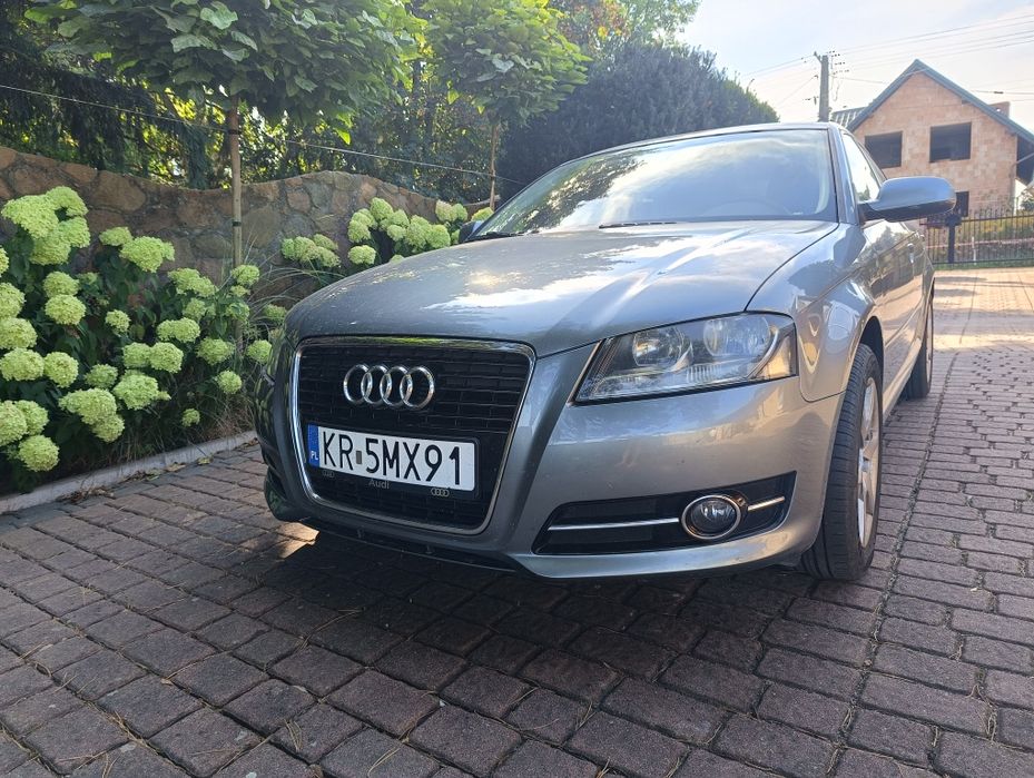 Audi A3 Sportback 8p 1,6 mpi 102KM + hak