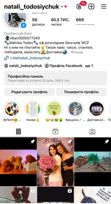 Продаж мальтіпу ф1 та ф2