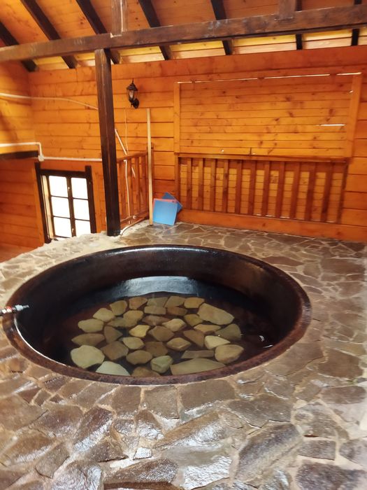 Відпочинок в Славську. Котедж над річкою