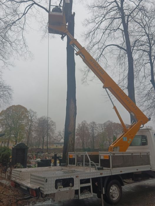 Wynajem podnośnika koszowego.