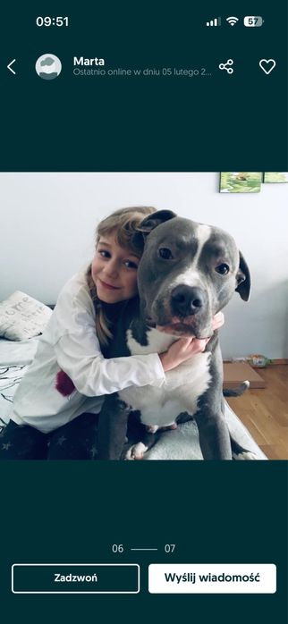 Domowa opieka dla piesków. Hotel