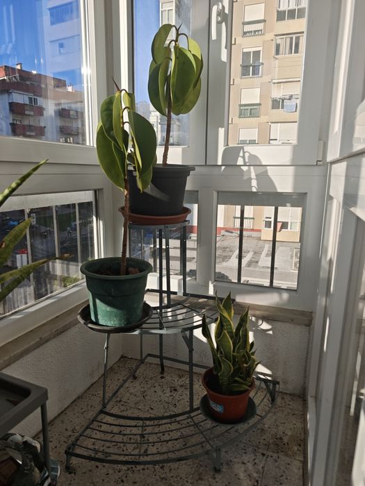 Floreira metálica