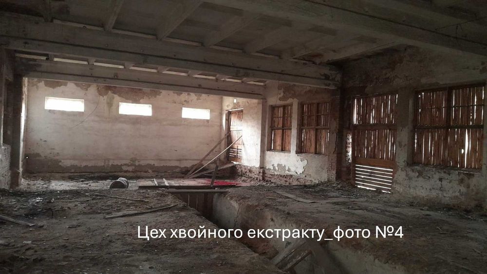 Комплекс будівель (цех, майстерня, їдальня) - м. Володимир, Волинська обл.
