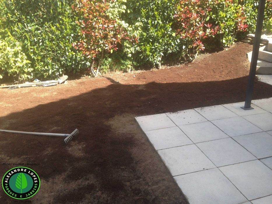 Relva em tapete natural qualidade superior