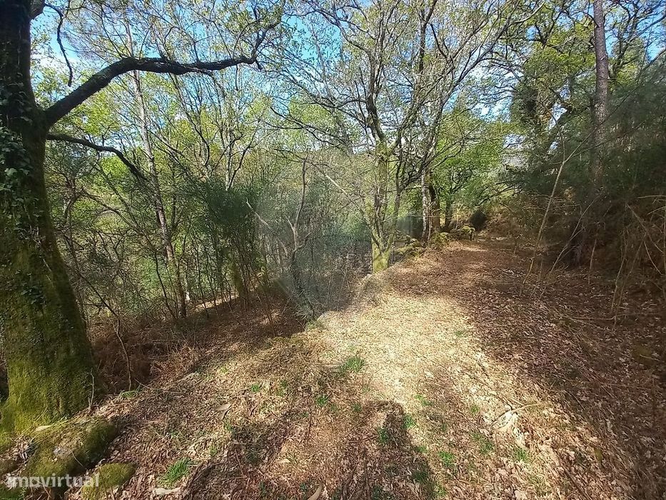 Terreno  para venda