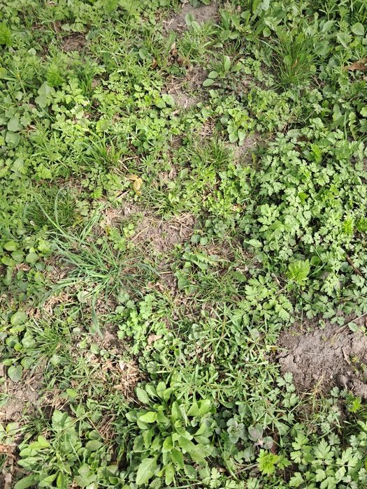 Участок земли 5 соток