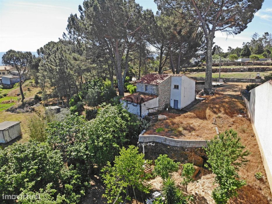 Quinta com cerca de 6.500 m² em Póvoa de Cervães, Mangualde