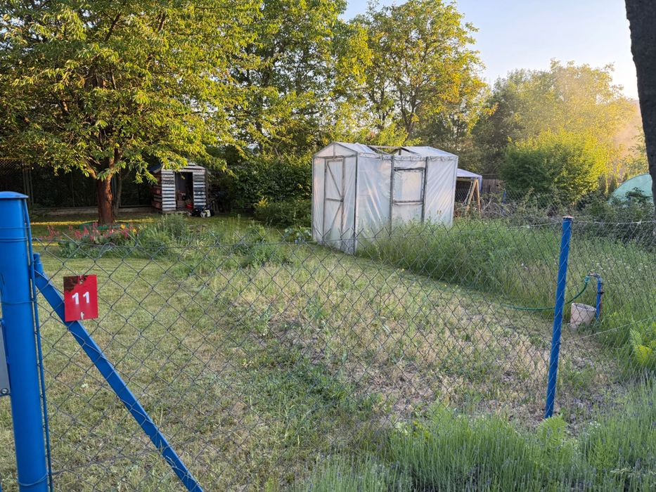 Dwie działki ROD Chryzantema w Lublinie - Widok 5
