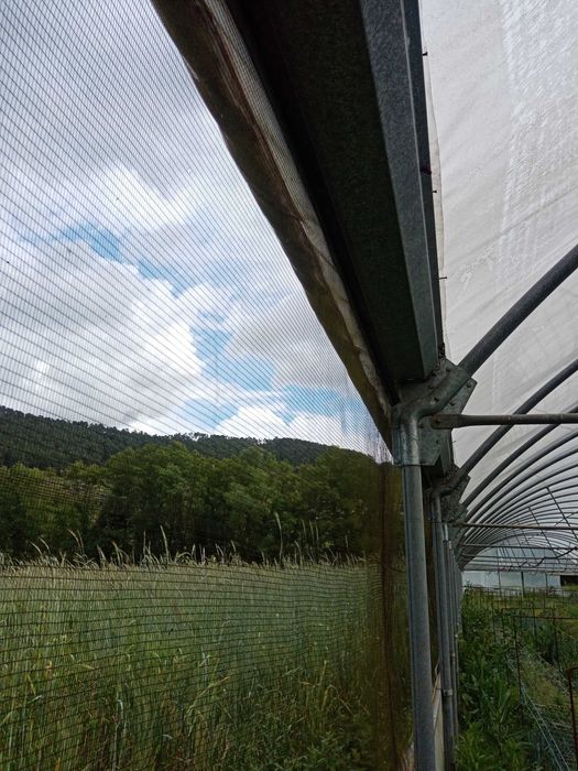 Estufa agrícola usada