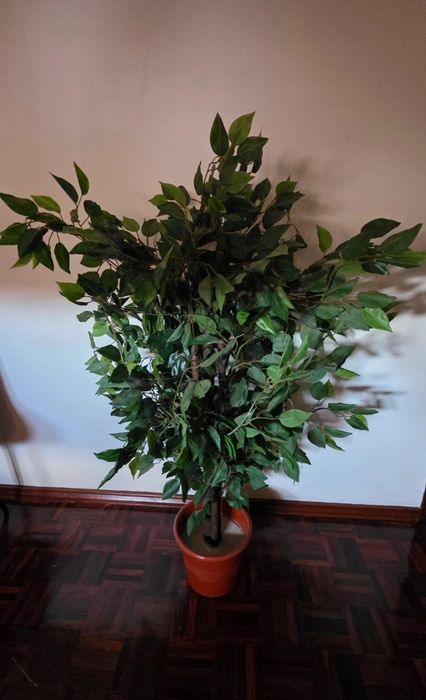 Planta artificial