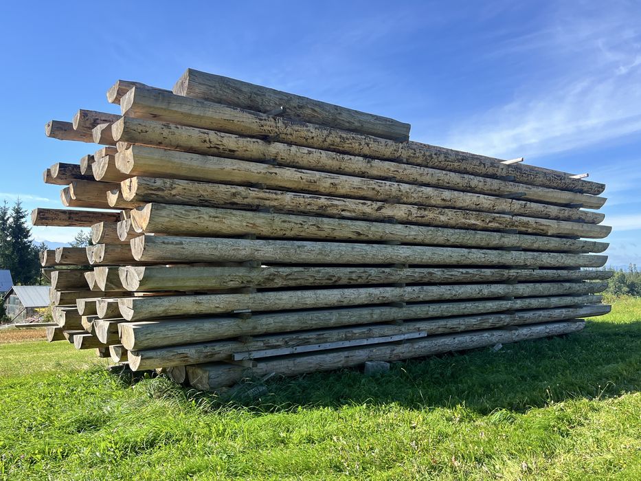 Płazy, bale, półbale, połówki świerkowe na dom