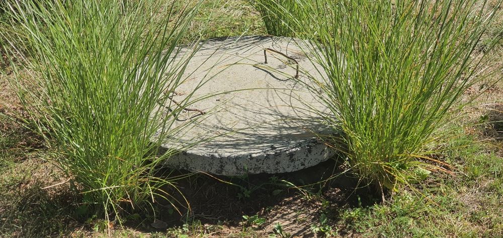 Pokrywa studzinki