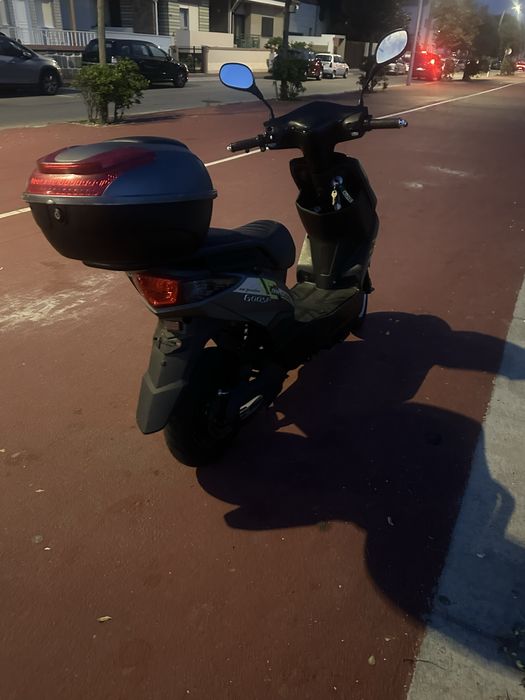 Vendo vortex goose