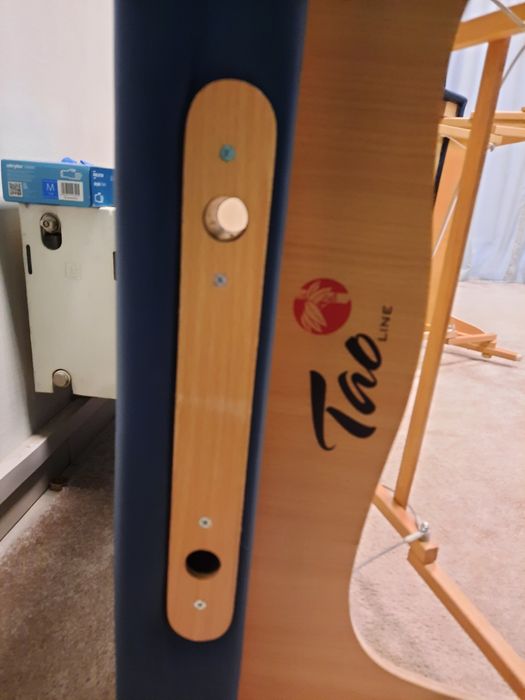 Stół do terapii Feldenkreisa, Ilan Lev, Integracja Strukturalna