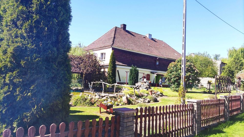 Dom do wynajęcia z ogrodem.