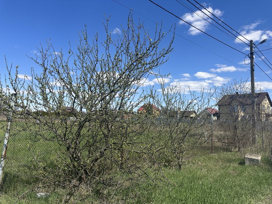 Петропавлівське Продається земельна ділянка  15 соток під будівництво вулиця Озерна