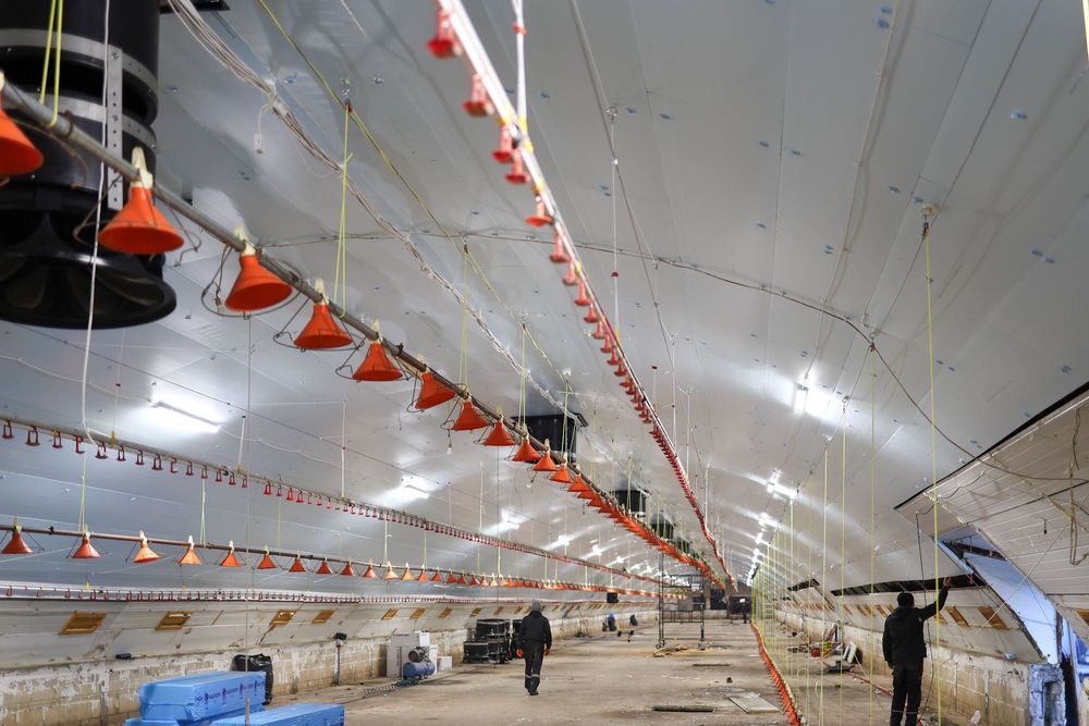 Błękitne Panele Izolacyjne Podsufitka Styrodur XPS AGRO 4,5,6,8,10,12