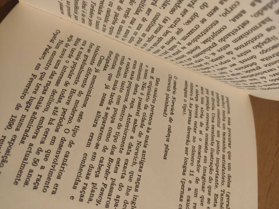 ABC da Criação de canários - Cury af Enehjelm