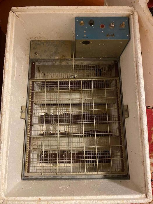 інкубатор "наседка" виробництва радянського союзу