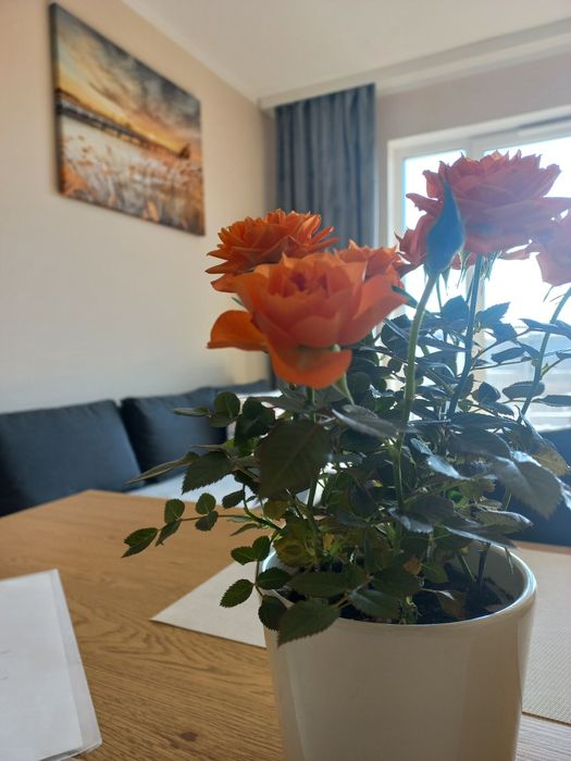 Apartament na pobyt krotkoterminowy