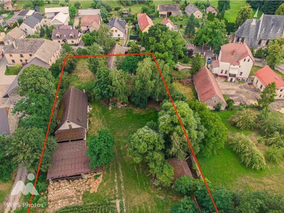 Zdjęcie 5
