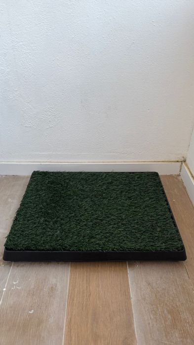 Casa de banho para cachorro