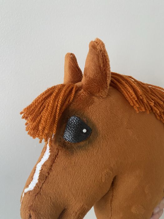 Hobby horse A4 rudy