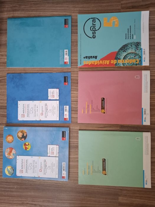 Manuais e cadernos escolares 5 Ano em bom estado