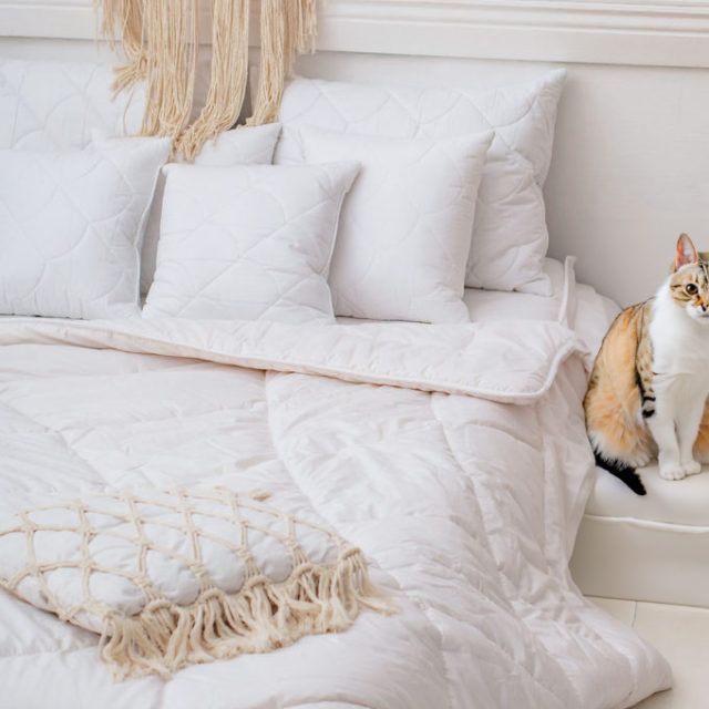 Kołdra AMZ ALPAKA zimowa 155x200cm Biały