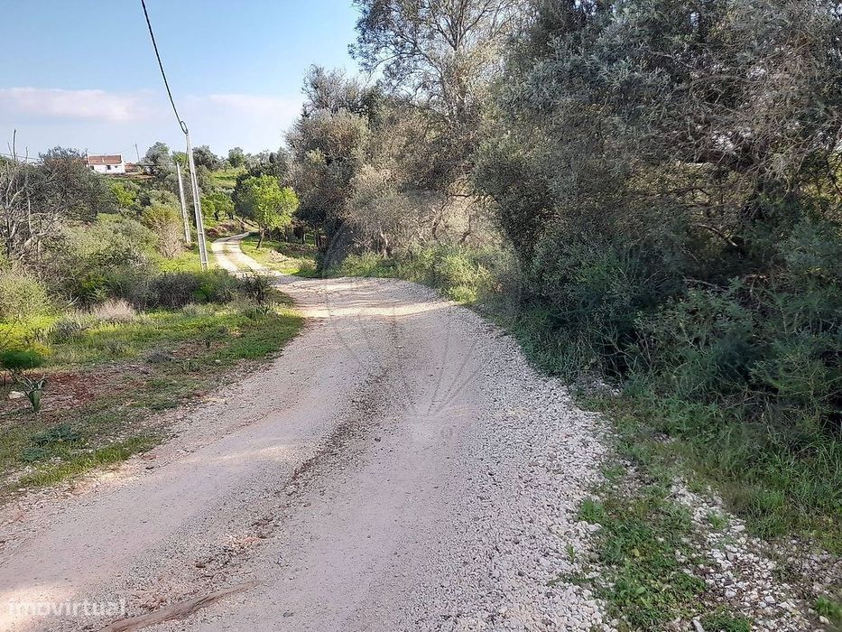 Terreno  para venda