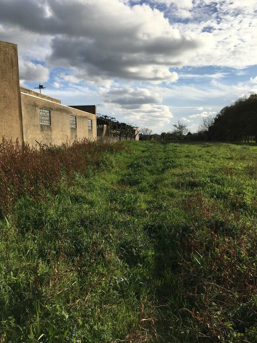 Terreno Ovar São João de Ovar