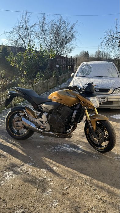 Продам Honda Hornet CB600F 2009