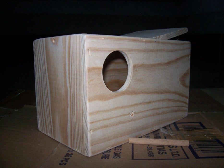 Ninho de madeira pinho rosicolli e familia