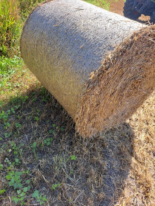 Sprzedam słome słoma 130x120