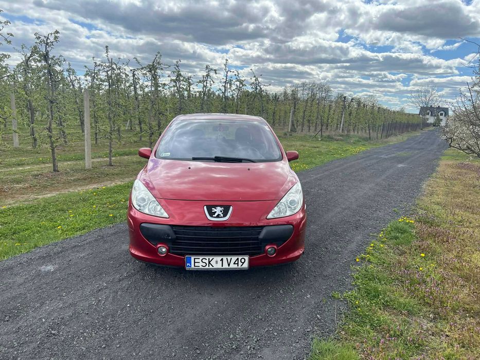 Peugeot 307 1,6 hdi