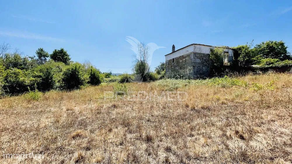 Lote de 7 Terrenos em Tábua