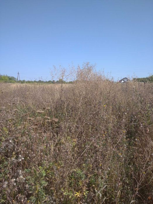 (3) Терміново! Продам земельну ділянку в Щітках 0756