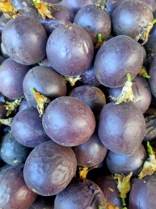 Maracujá roxo muito saboroso