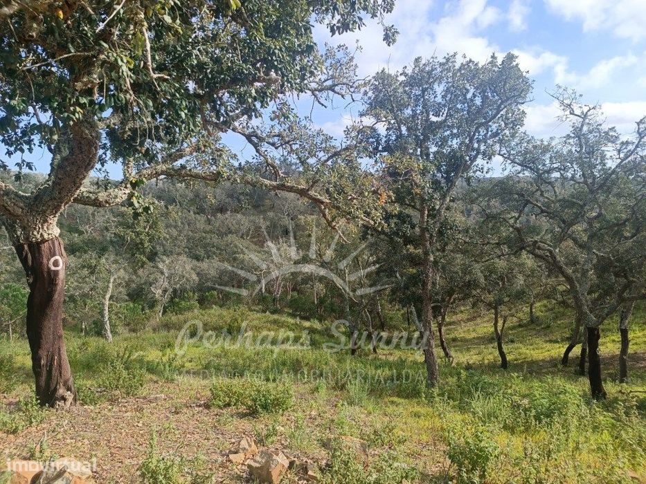 Terreno Rustico São Francisco da Serra