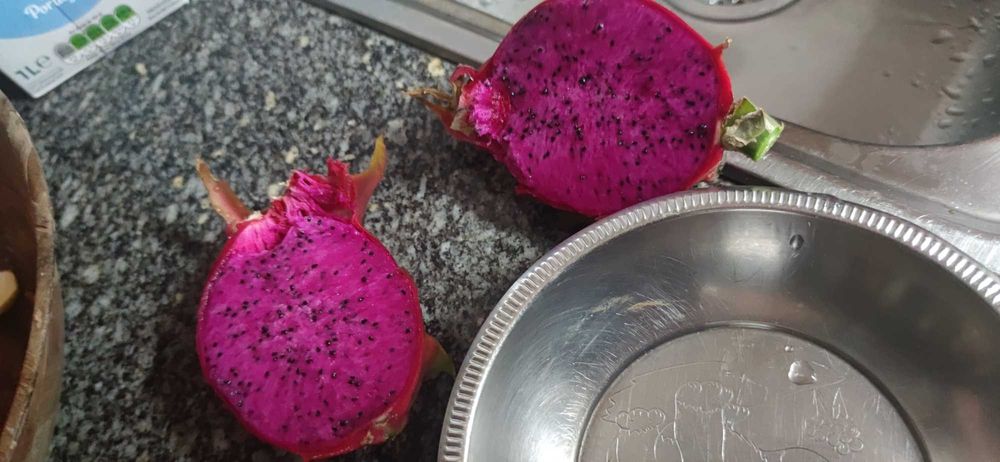 Pitaya fruta do dragão