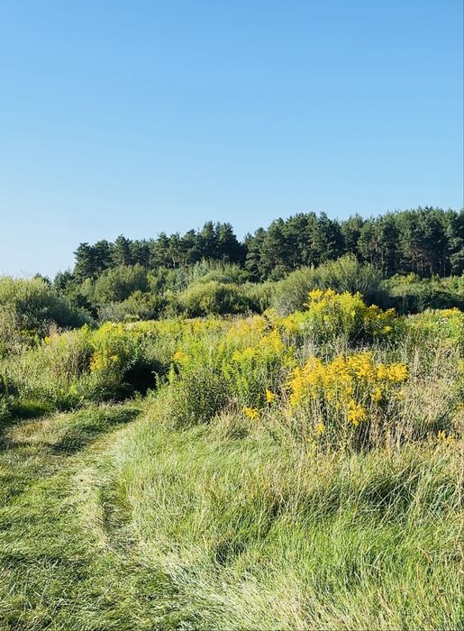 Продам земельну ділянку 2 га над річкою
