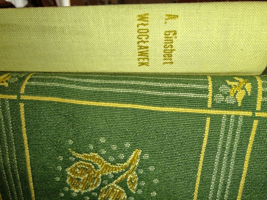 Włocławek. Studium monograficzne - Adam Ginsbert (1968) + Dedykacja PR