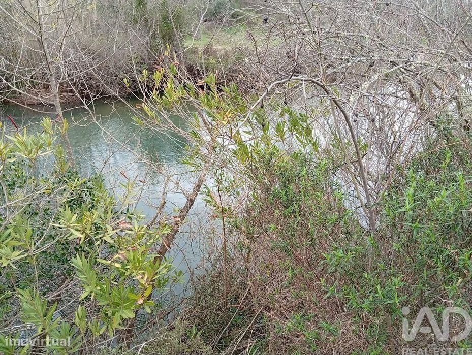 Terreno Agrícola em Ameixial