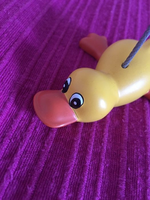 Suporte de fotografias