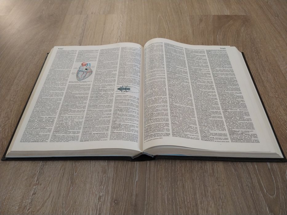 Encyklopedia Popularna PWN