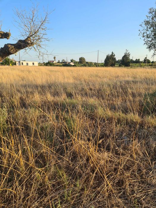 Terreno Rústico de 6000m2 Com Possibilidade de Construção