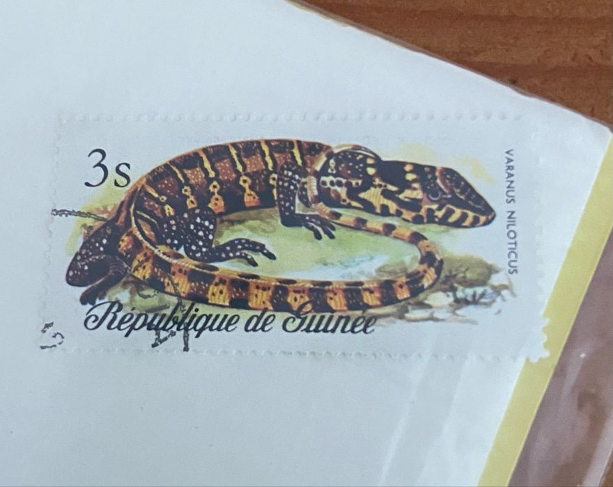 25 selos de Crocodilos