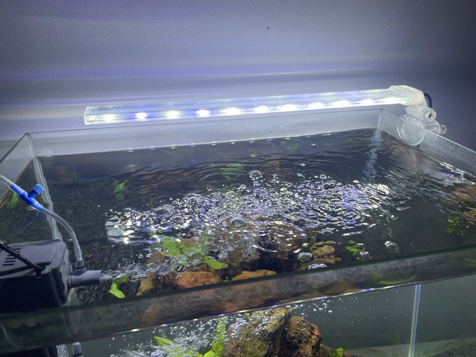 Aquario Peixes 60 litros