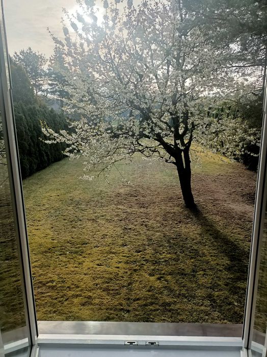 Bezpośrednio, cicha okolica